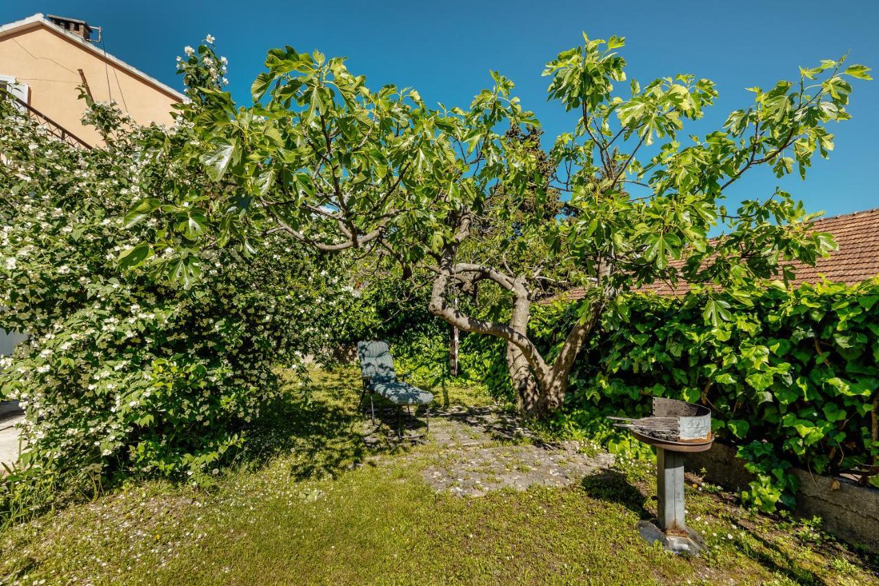 Green Garden Apartments Herceg Novi Exteriér fotografie